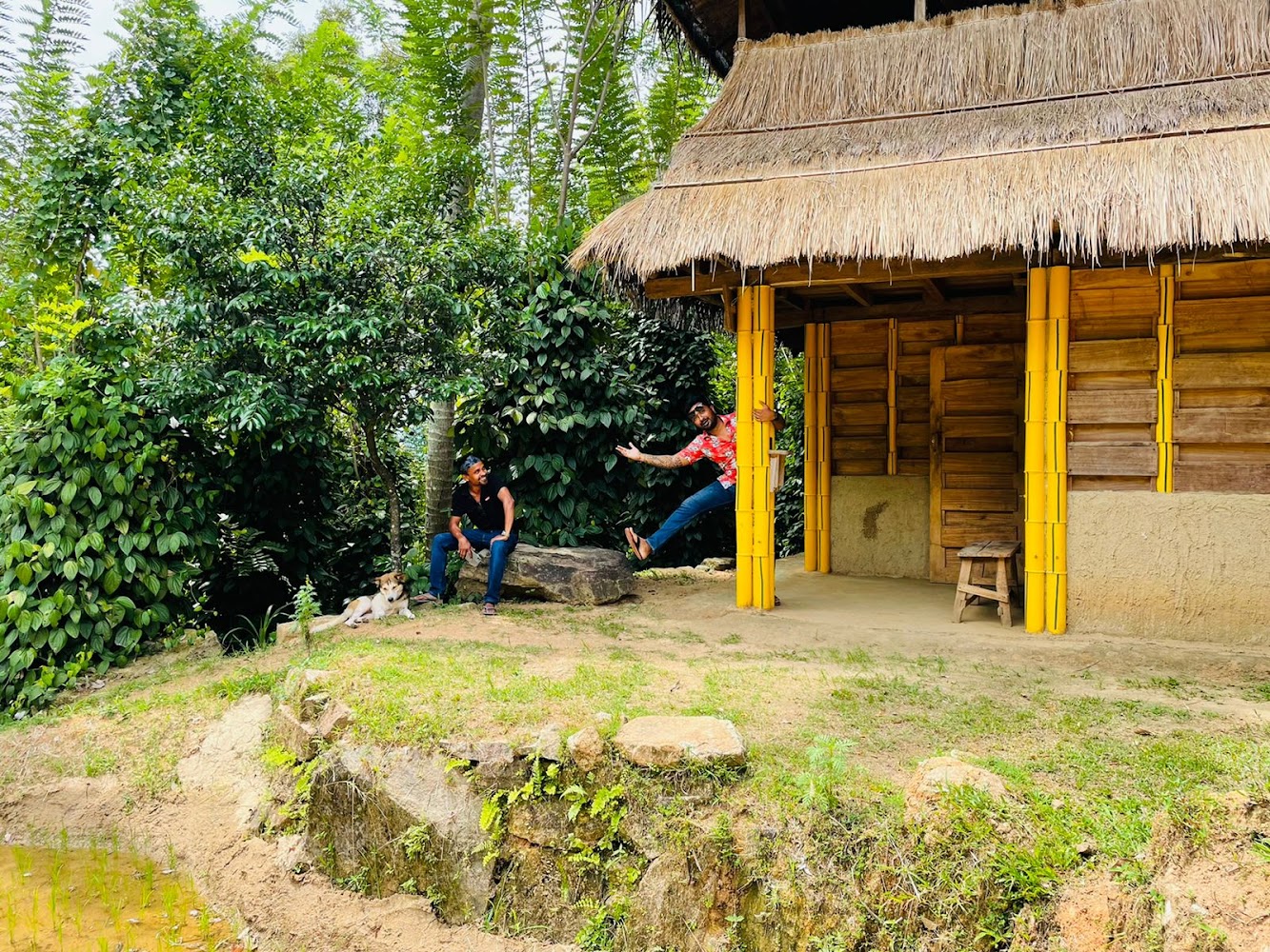 Arana Rathnaella Eco Lodge Hotel in Hasalaka, Sri Lanka