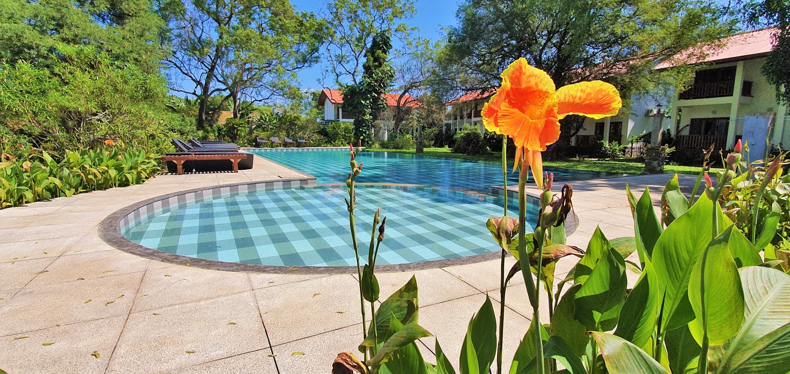 Blue Turtle Hotel Hotel in Tissamaharama, Sri Lanka