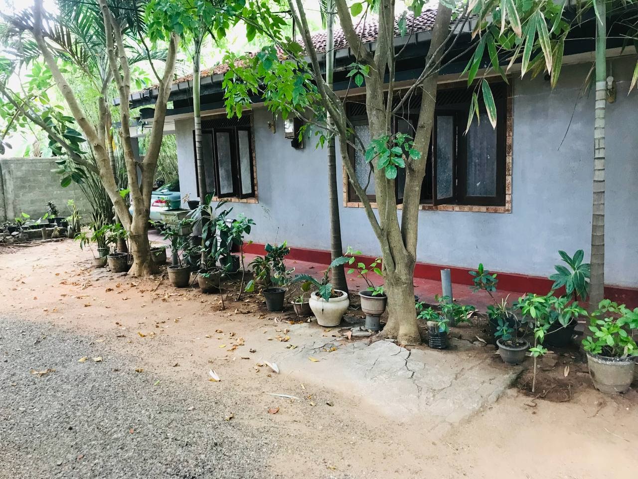 Camellia Holiday Resort Hotel in Anuradhapura, Sri Lanka