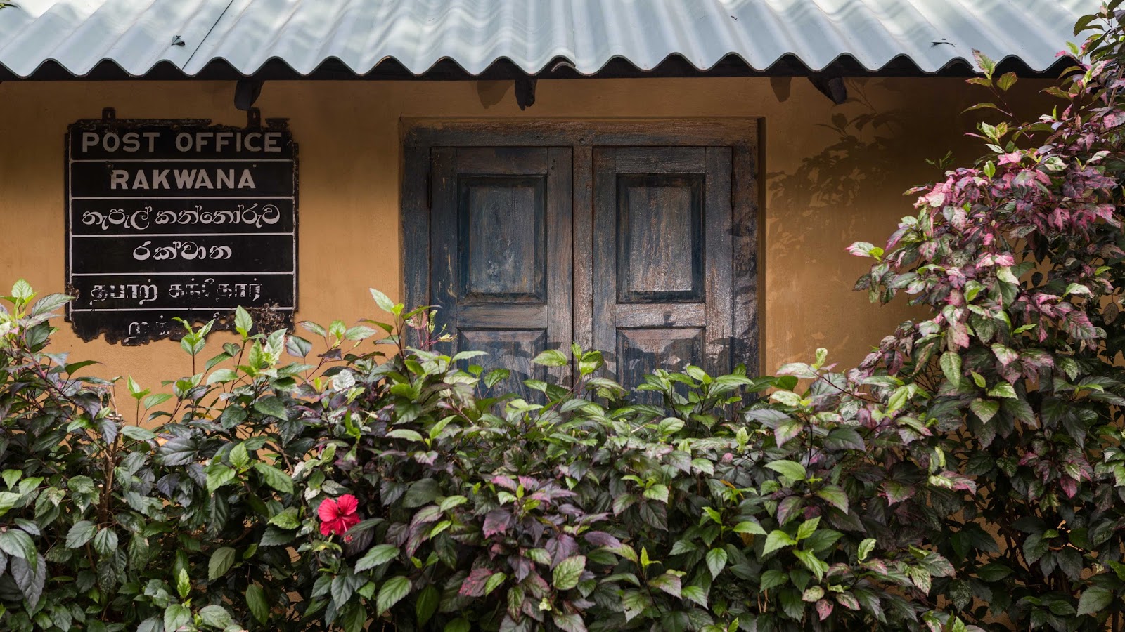 Casa Heliconia Hotel in Kaleliya, Sri Lanka