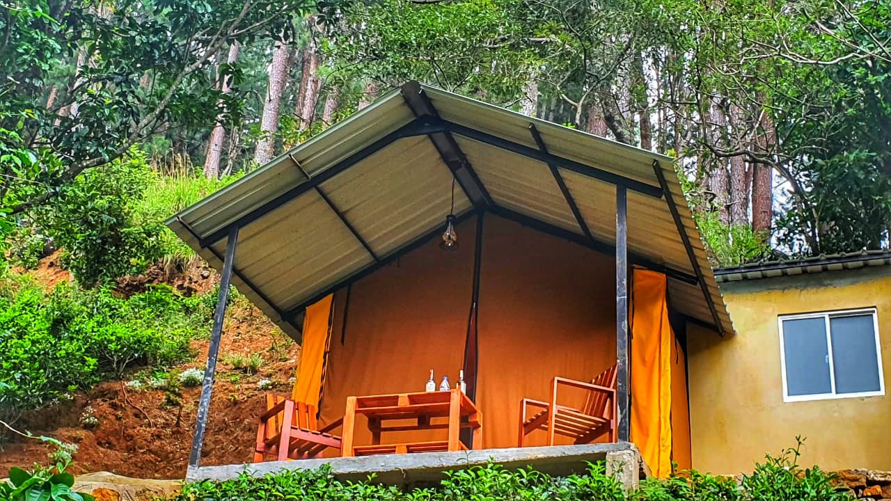 Eco Wild Glamping Bambarakanda Hotel in LK, Sri Lanka