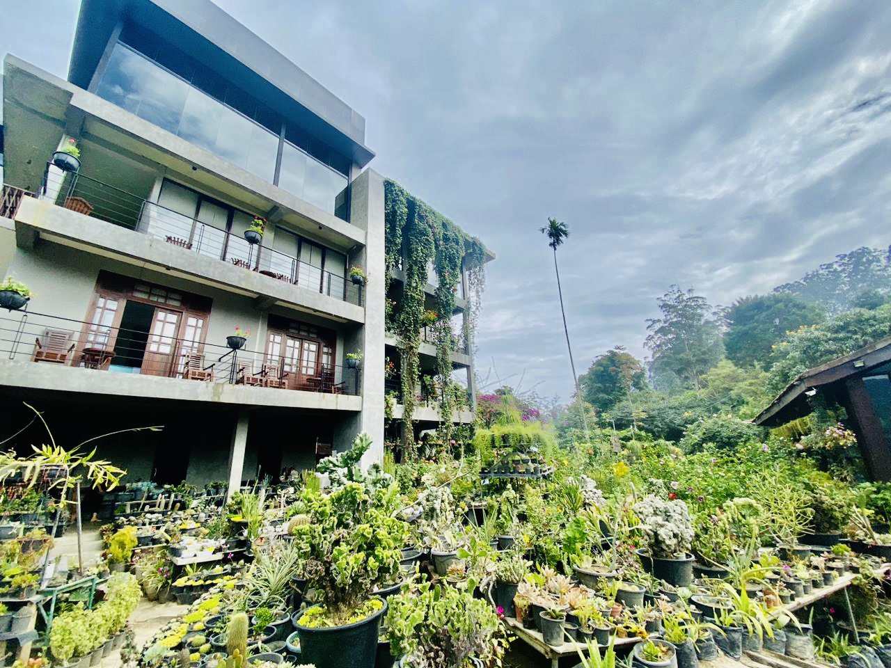 Ella Flower Garden Resort Resort hotel in Ella, Sri Lanka
