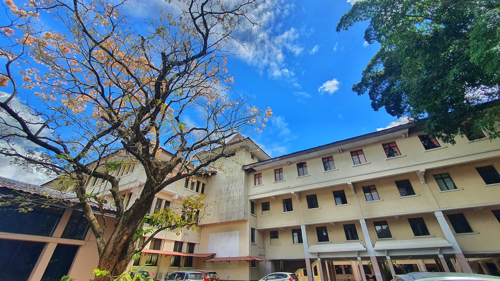 Faculty of Medicine, University of Peradeniya