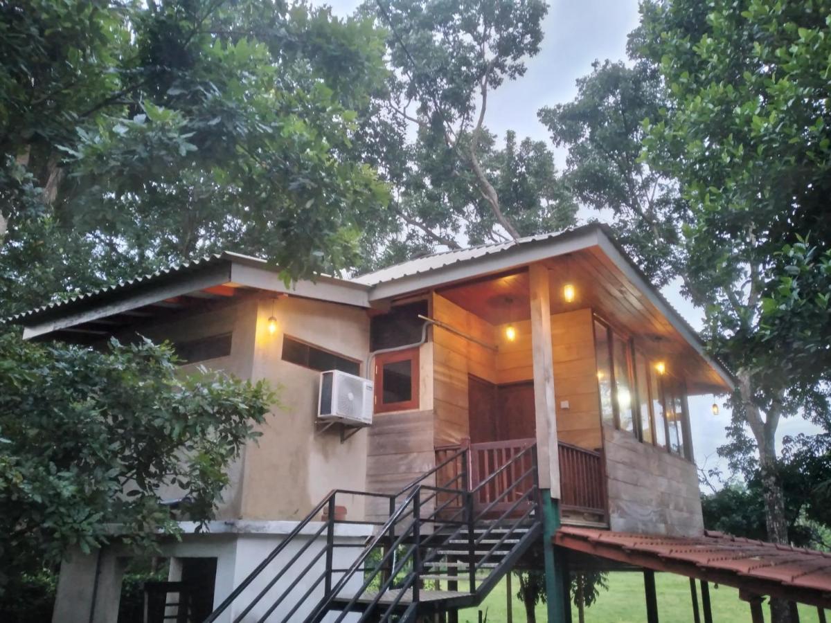GREEN HERBAL Ayurvedic Eco-Lodge Hotel in LK, Sri Lanka