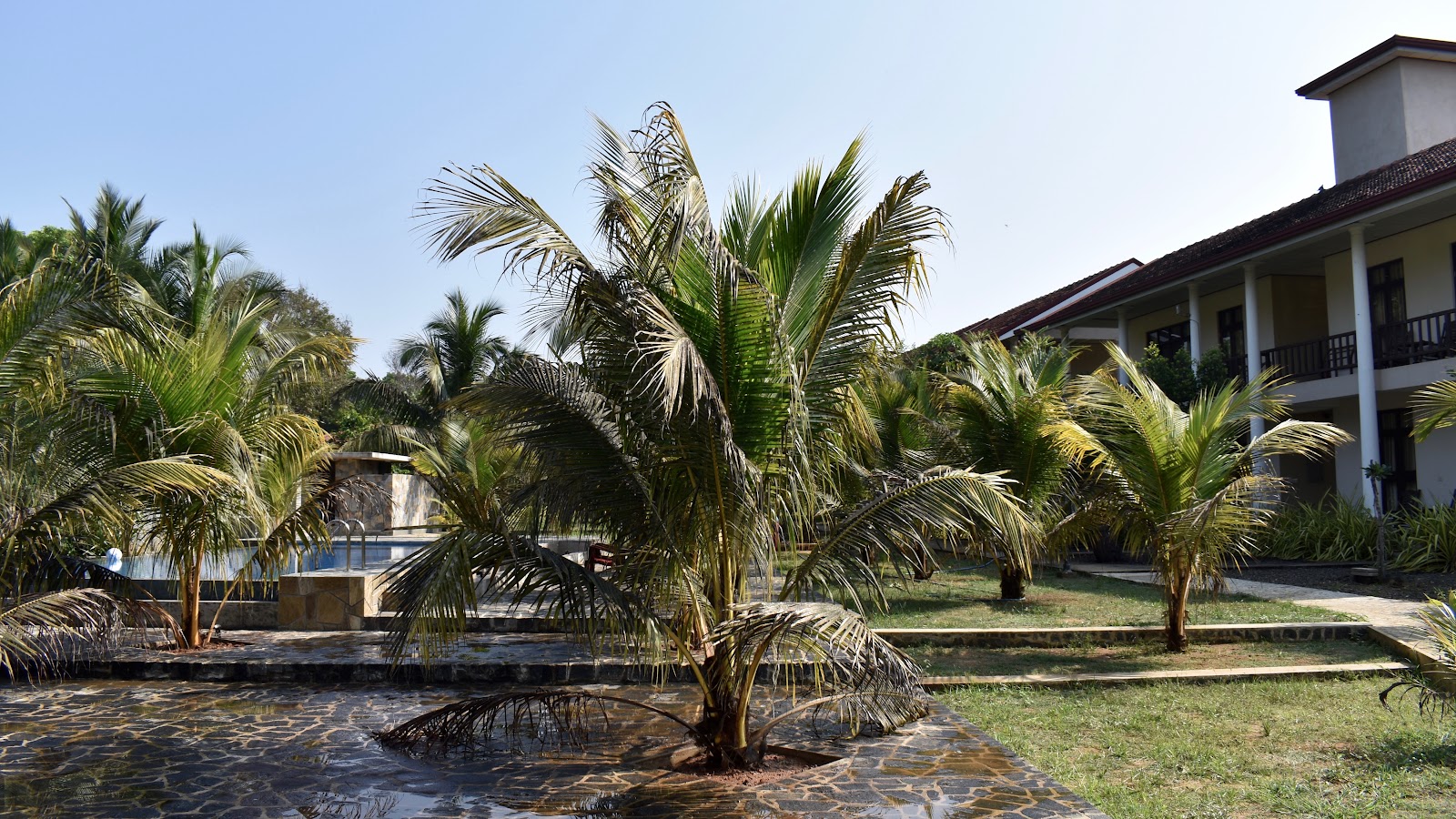 Goddess Garden Guest House Sigiriya. Hotel in Sigiriya, Sri Lanka