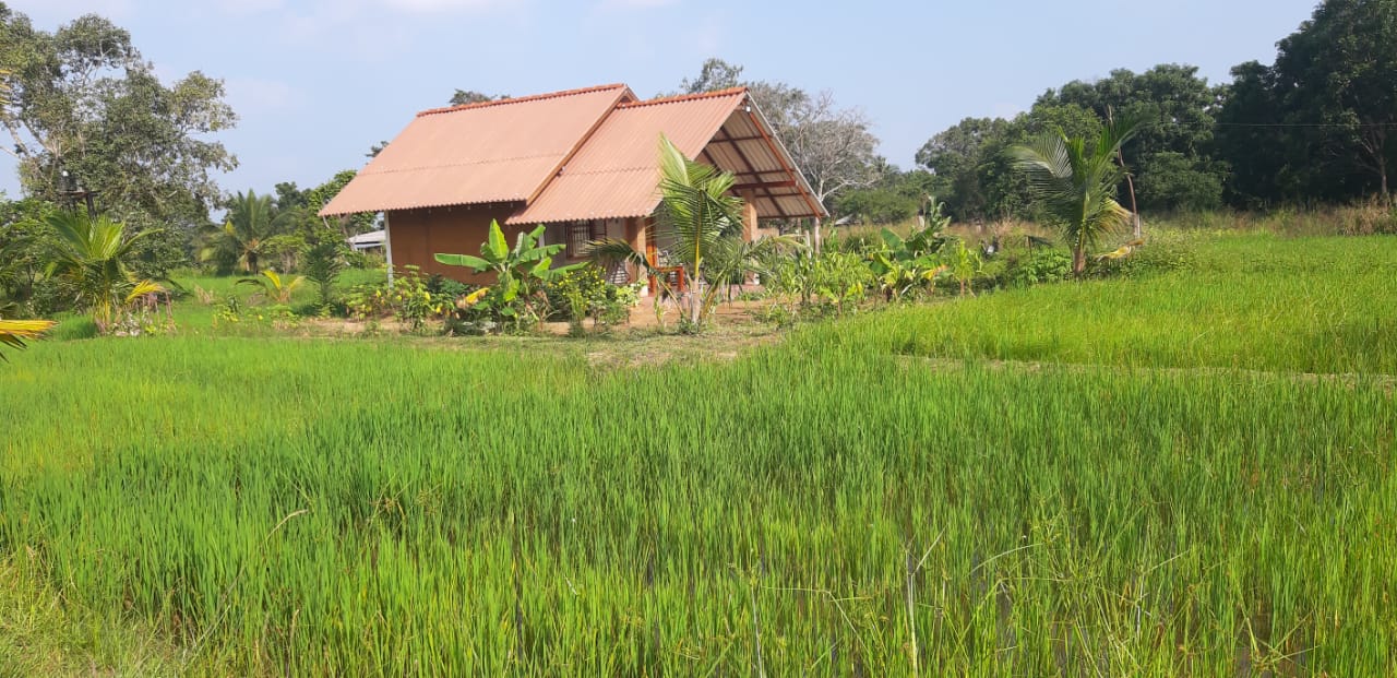 Habarana Farm Cottage Hotel in Habarana, Sri Lanka