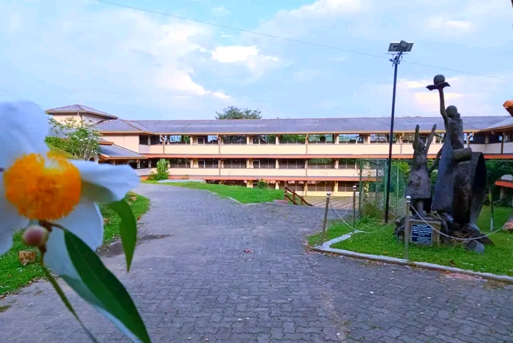 Janadhipathi Balika Vidyalaya ️ School in Walahanduwa, Sri Lanka