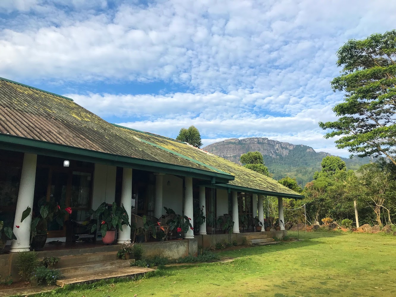 Jungle Tide Hotel in Uduwela, Sri Lanka