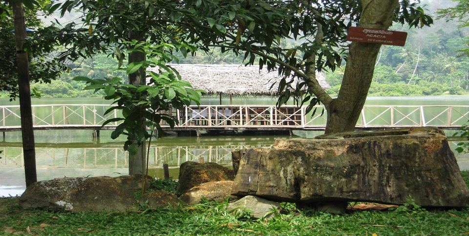 Kamburupitiya Eco Village Hotel Hotel in Kamburupitiya, Sri Lanka