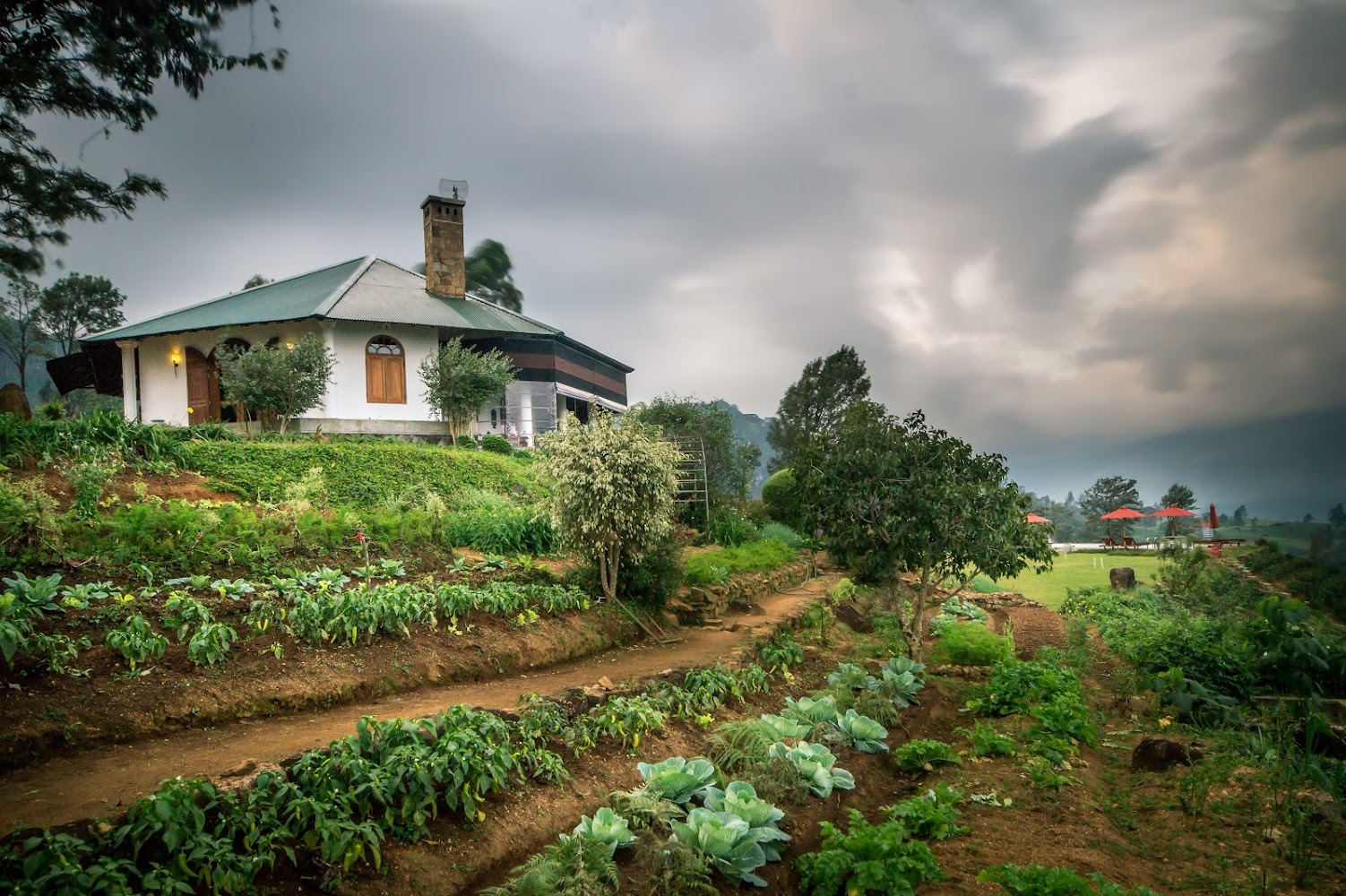 Madulkelle Tea and Eco Lodge Hotel in LK, Sri Lanka