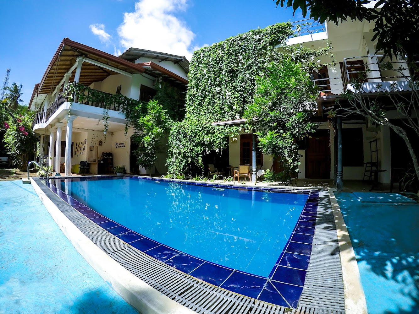 Mirissa Blue Whale Holiday Hotel Hotel in Mirissa, Sri Lanka