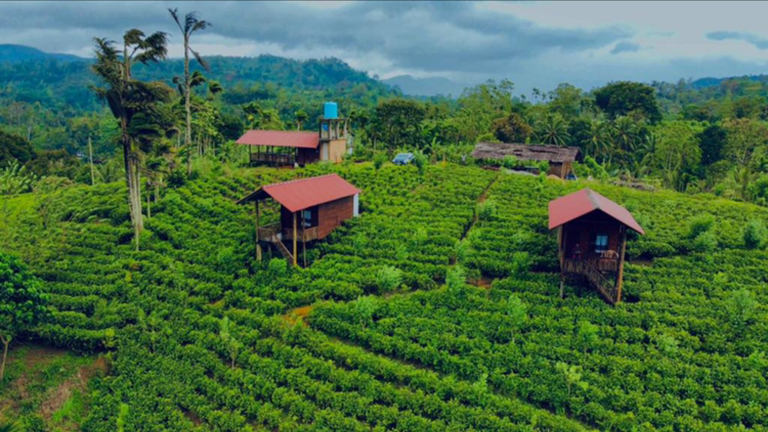 Misty Mountain-Sinharaja Resort hotel in Deniyaya, Sri Lanka