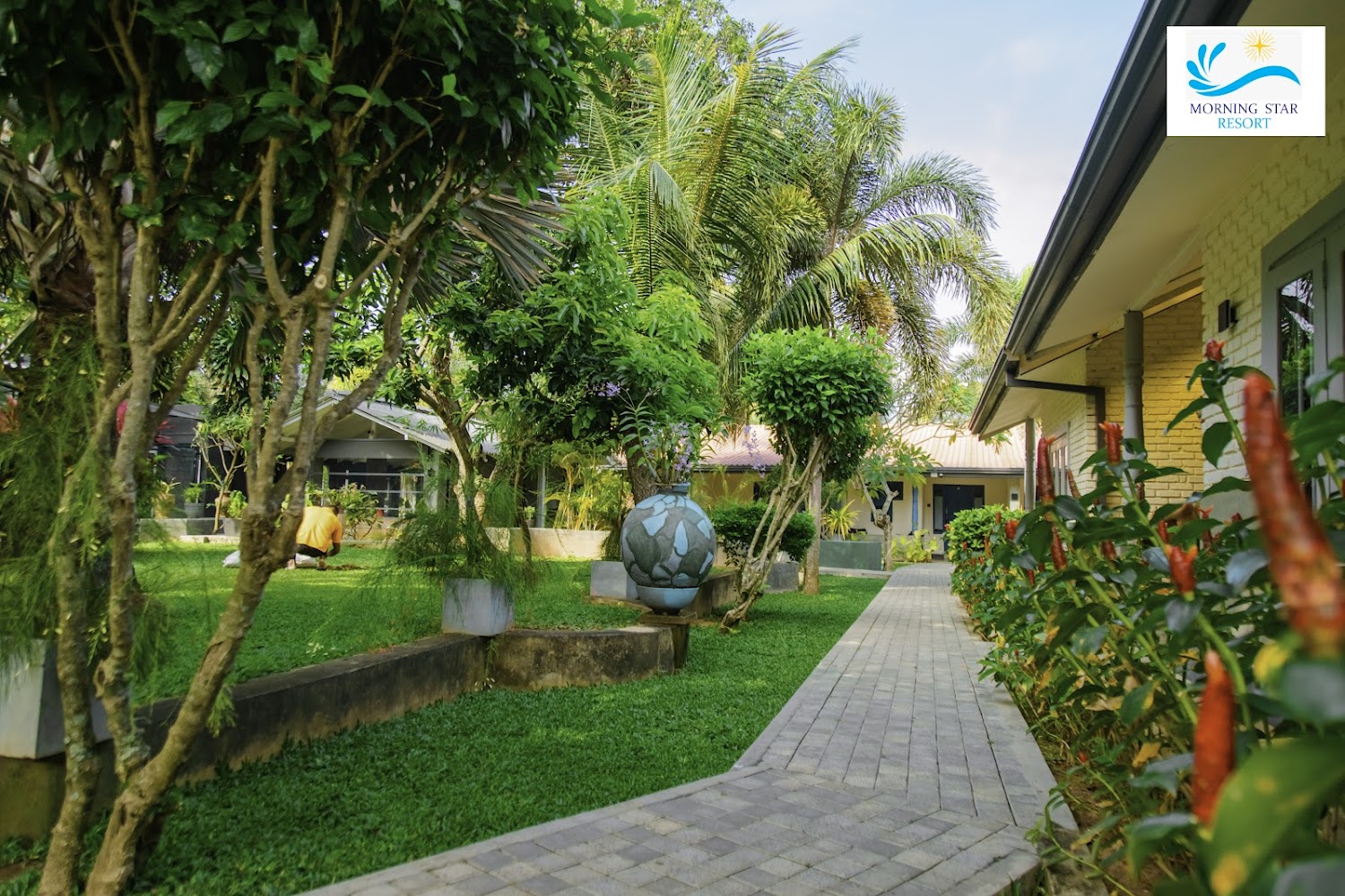 Morning Star Resort Hotel in Negombo, Sri Lanka
