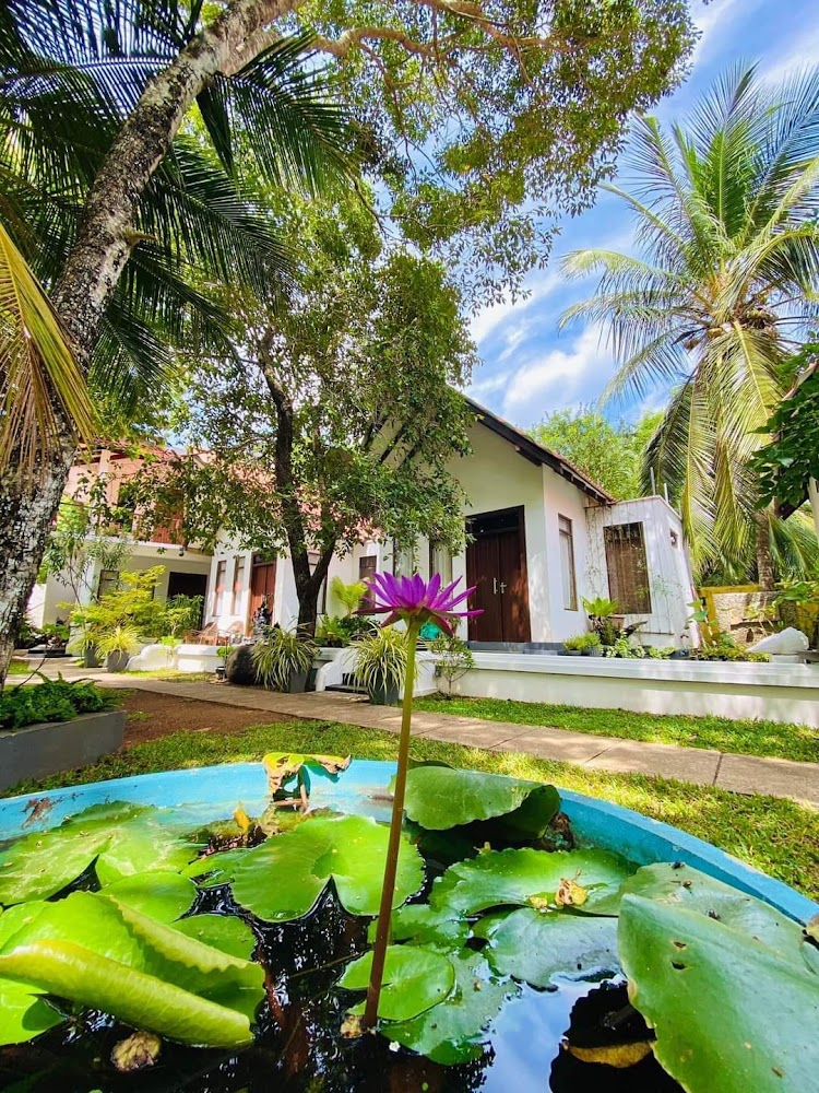 Muragala Holiday Resort Resort hotel in Anuradhapura, Sri Lanka