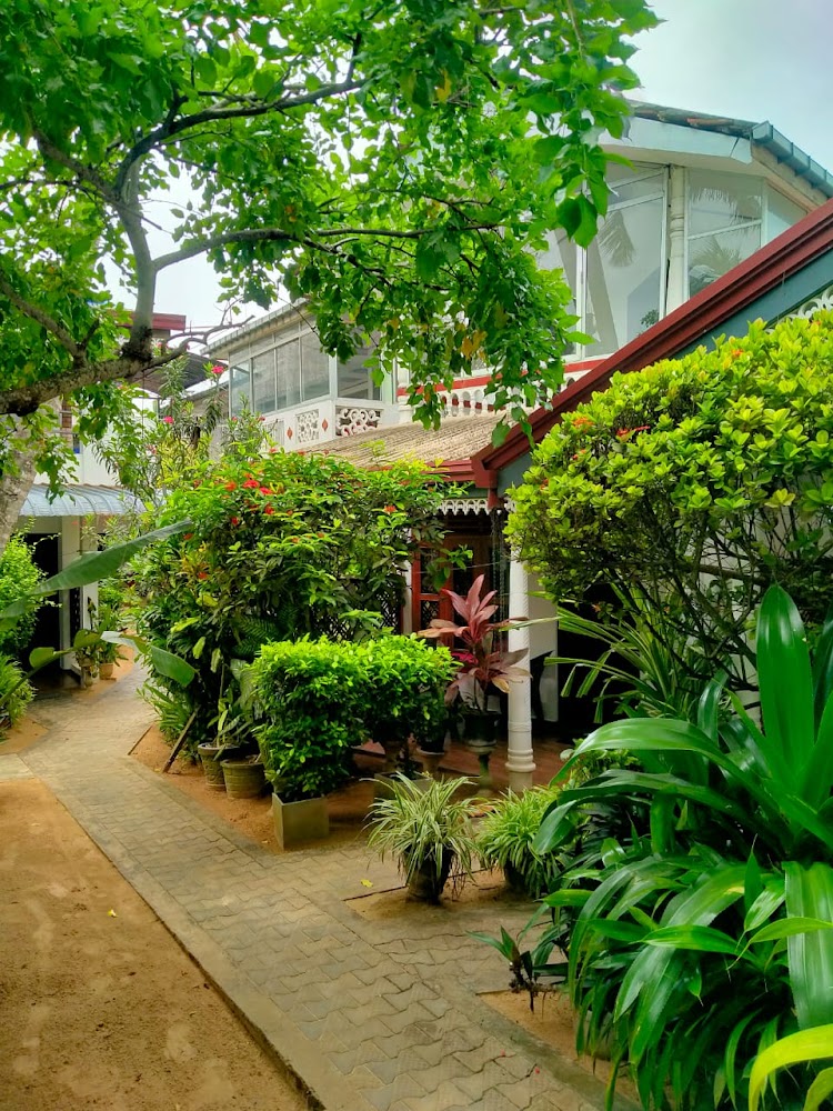 Ocean Moon Rooms & Cabanas Resort hotel in Mirissa, Sri Lanka