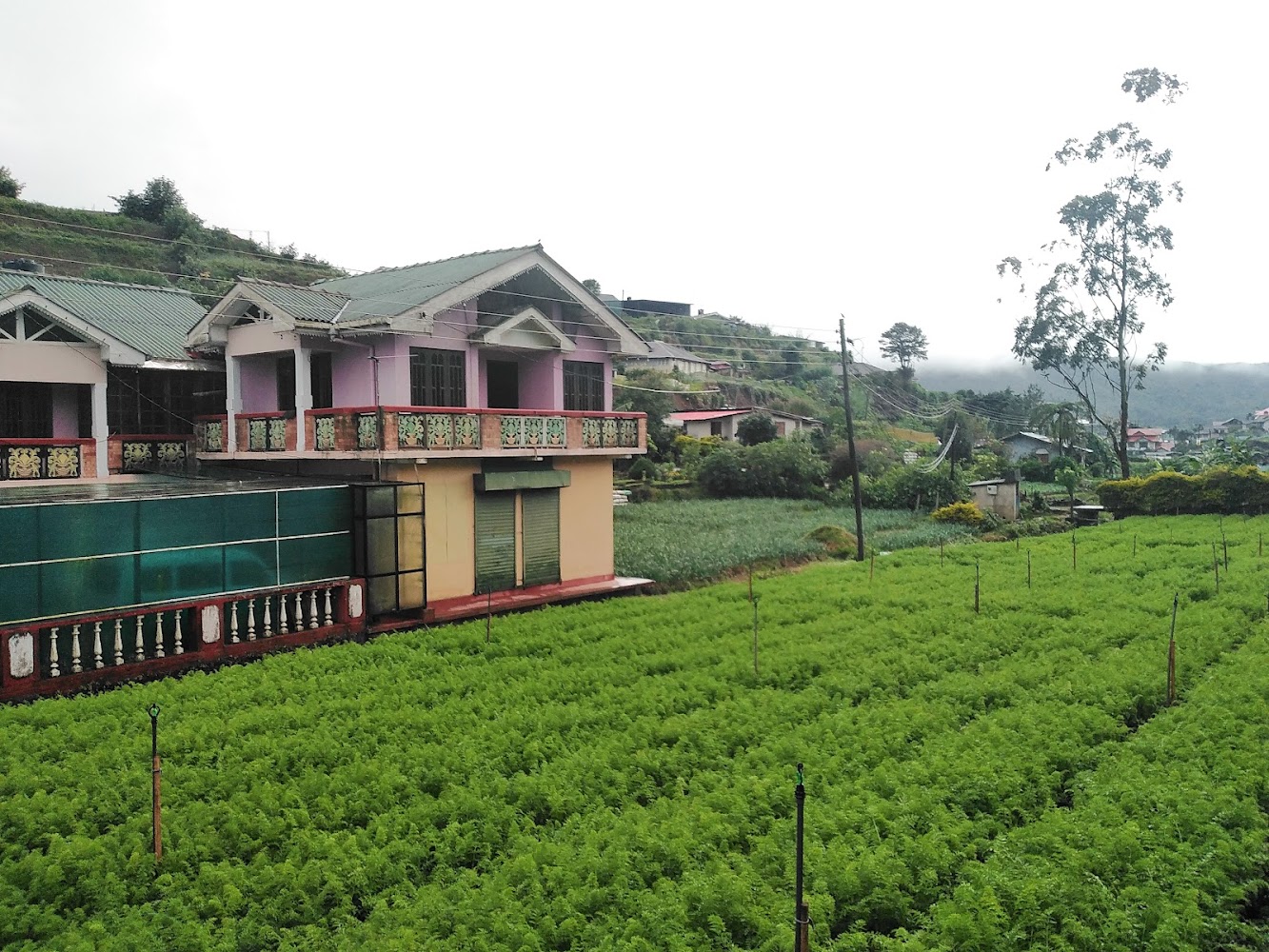 Samarajeewa guest house meepilimana Hotel in Nuwara Eliya, Sri Lanka