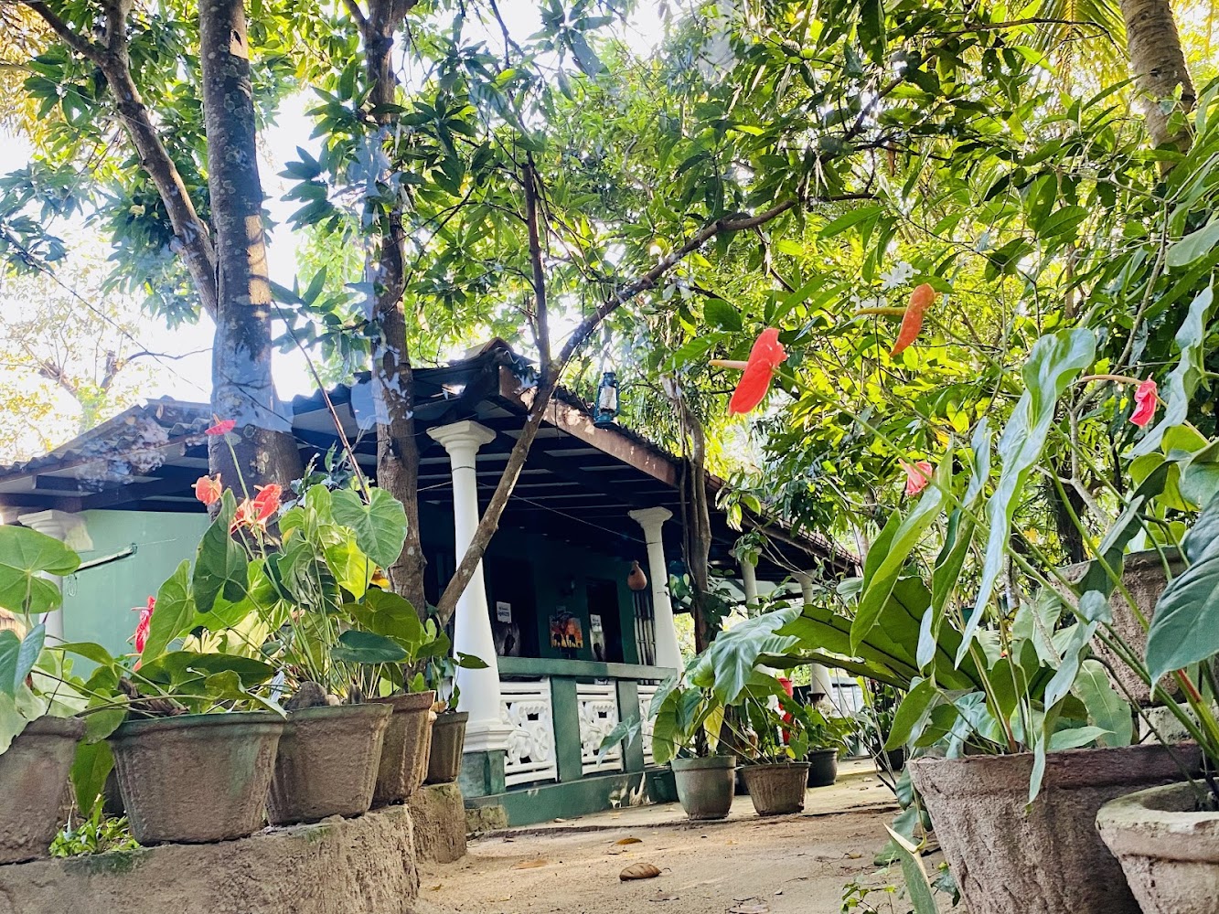 Sigiri Rock Side Home Stay Hotel in Sigiriya, Sri Lanka