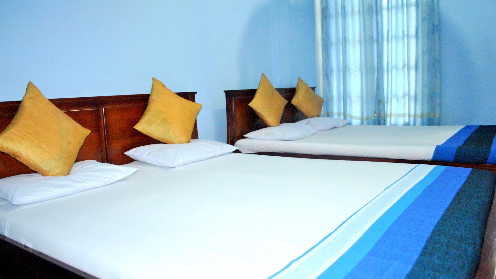 Sri Guest
