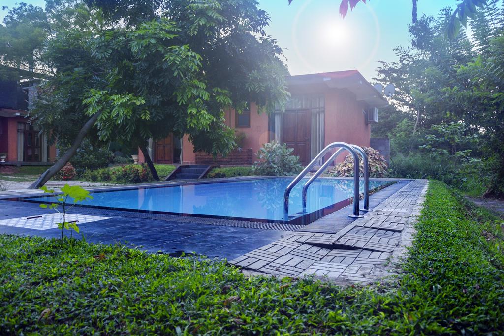 Thammenna Eco Cabins Hotel in Dambulla, Sri Lanka