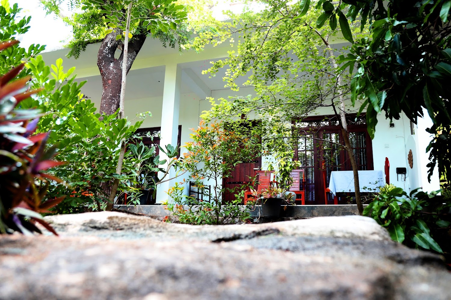The Cattleya Guest House Sigiriya Hotel in Sigiriya, Sri Lanka