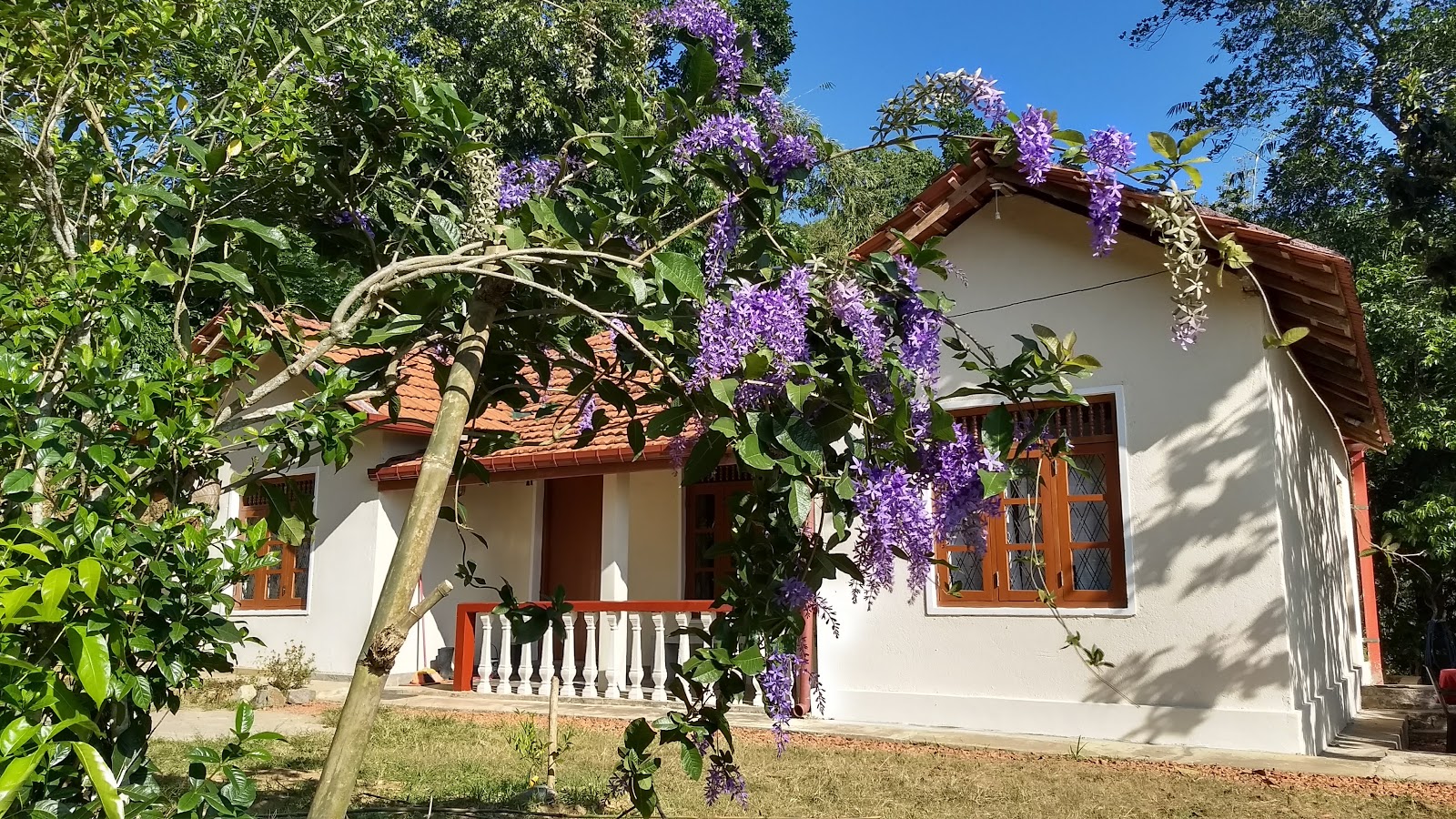 The Pepper Cottage Hotel in Digana, Sri Lanka
