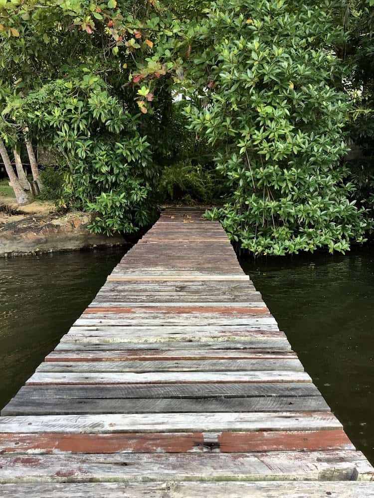 TheLakeHostel Hotel in Hikkaduwa, Sri Lanka