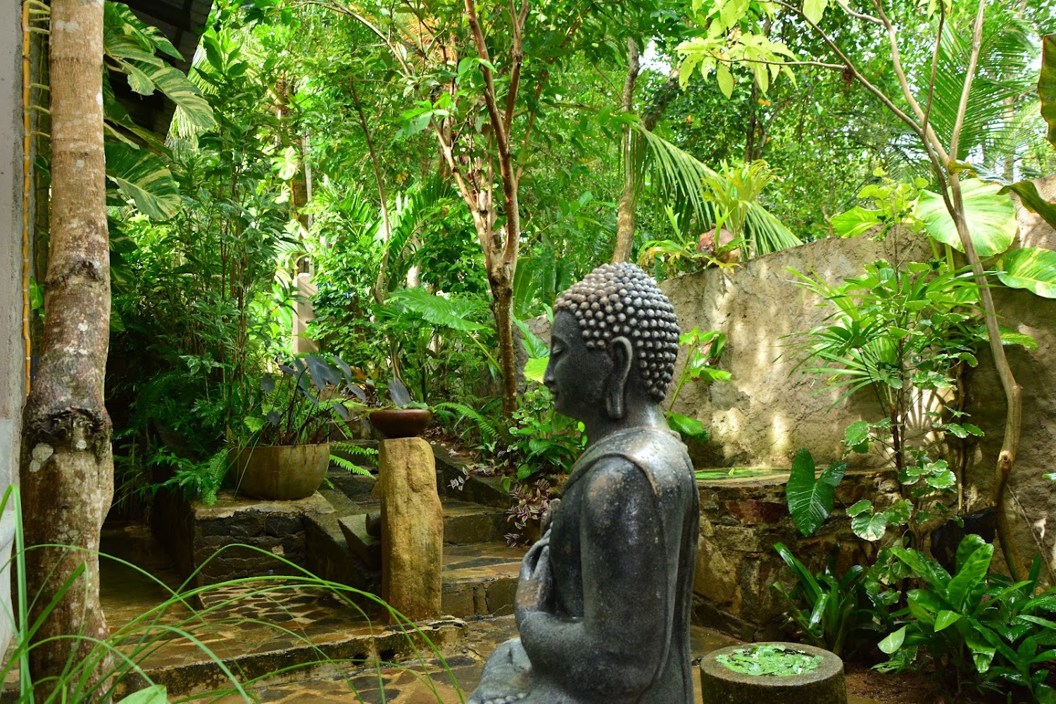 VIEW guesthouse & bistro @ goyambokka Hotel in Tangalle, Sri Lanka