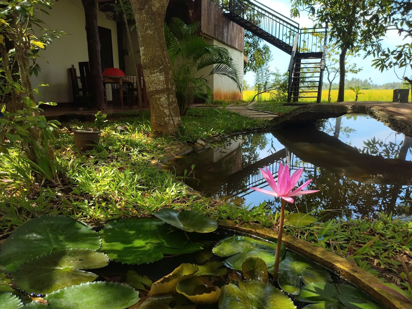 Village Mango Resort & Yala safari Hotel in Tissamaharama, Sri Lanka