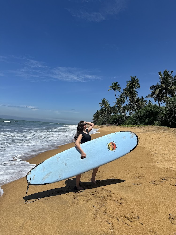 Wadduwa Lavilla Surf School Surf school in Wadduwa, Sri Lanka