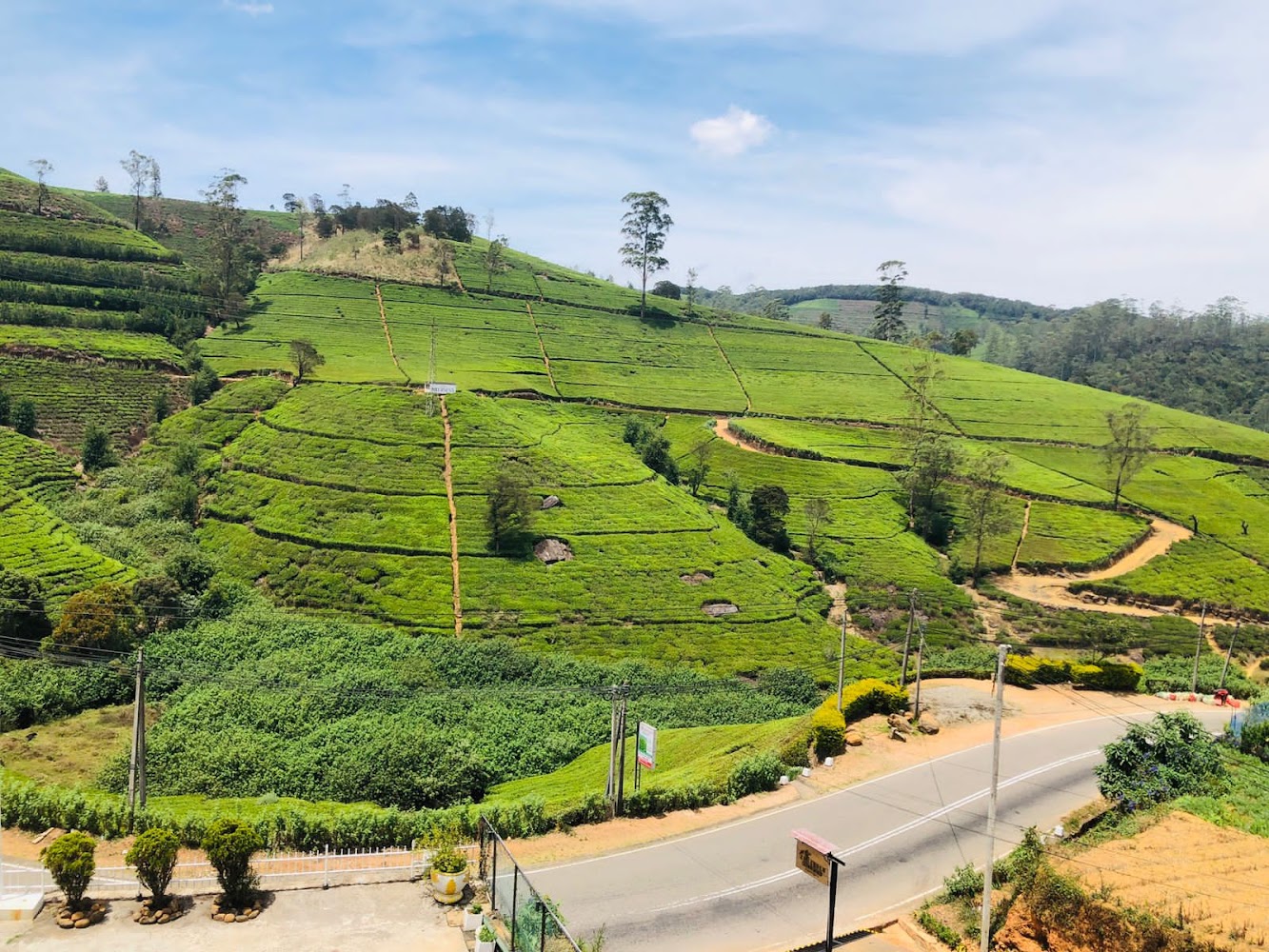 Woodnest Sithula Garden Resort Resort hotel in North Punduloya, Sri Lanka